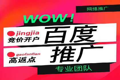 百度竞价代理实战技巧：经典案例深度解读